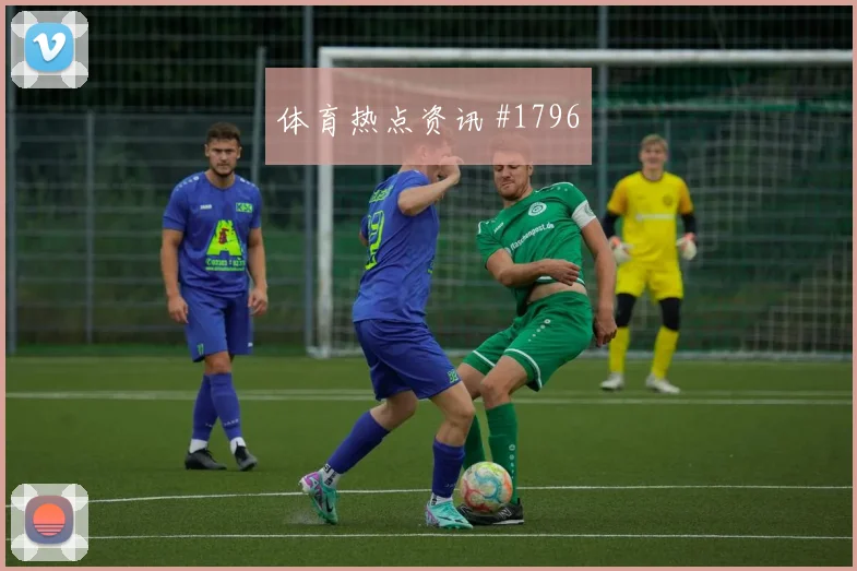荷兰vs突尼斯2026世界杯短传配合