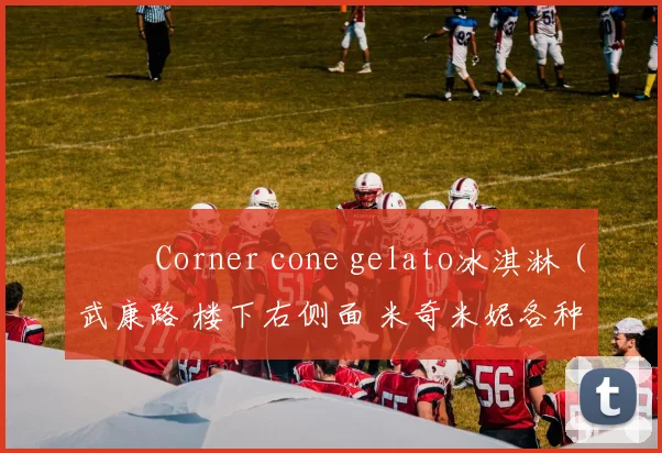✔️ Corner cone gelato冰淇淋（武康路 楼下右侧面 米奇米妮各种图案好看味道也很不错 ）