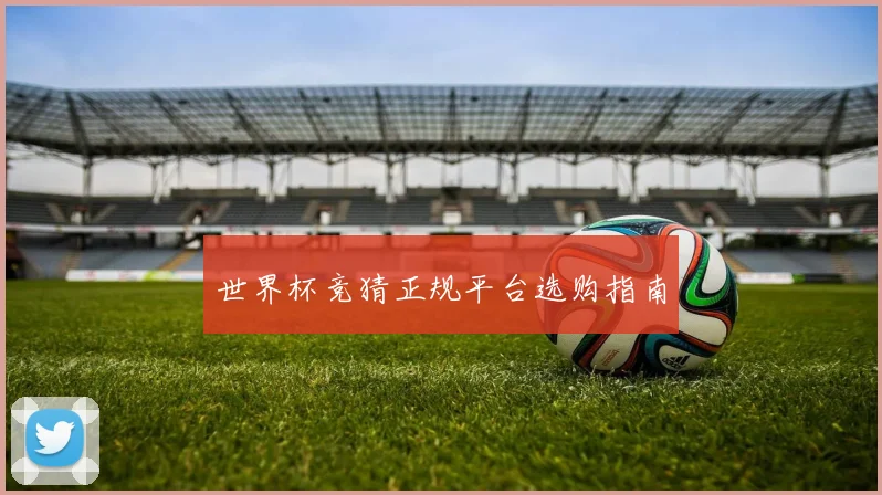 世界杯竞猜正规平台选购指南