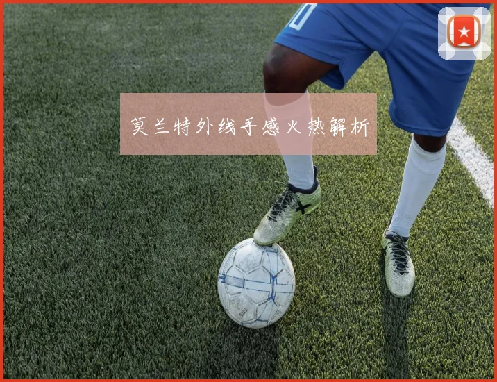 莫兰特外线手感火热解析