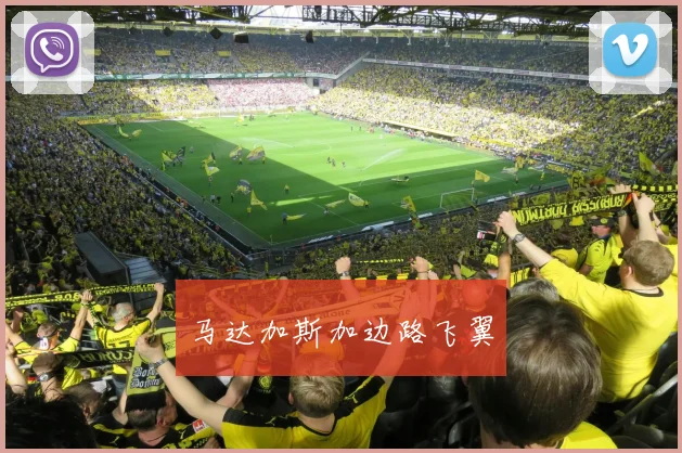 马达加斯加边路飞翼