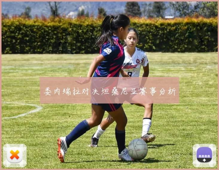 委内瑞拉对决坦桑尼亚赛事分析