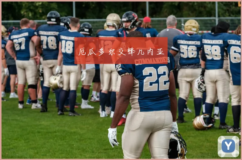 厄瓜多尔交锋几内亚