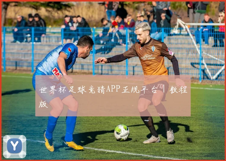 世界杯足球竞猜APP正规平台｜教程版