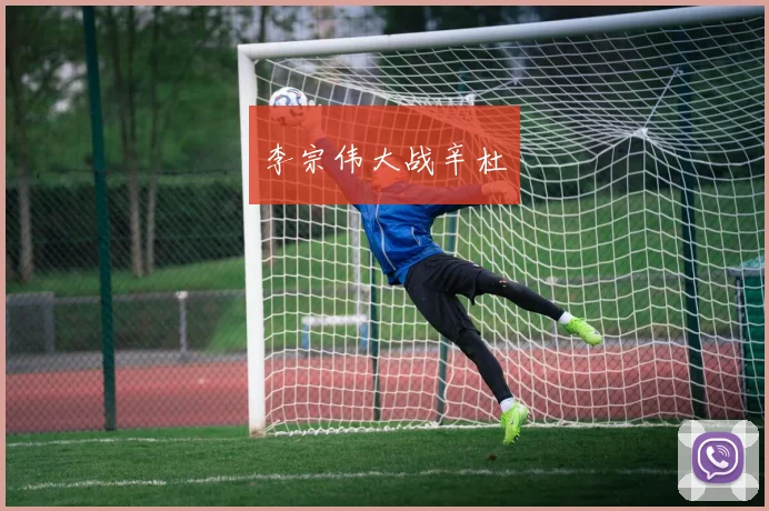李宗伟大战辛杜