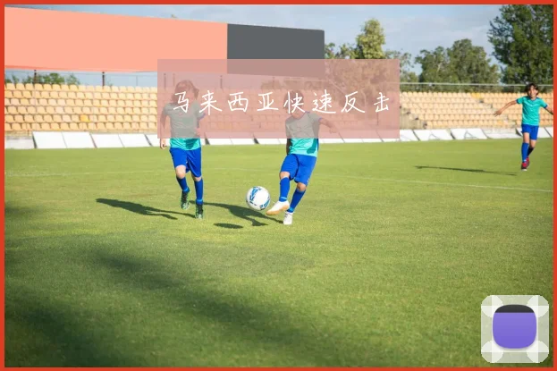 马来西亚快速反击