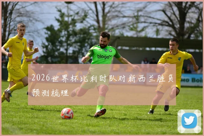 2026世界杯比利时队对新西兰胜负预测梳理