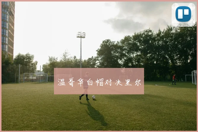 温哥华白帽对决里尔