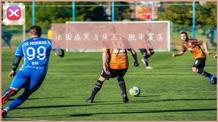 法国成黑马焦点，胜率震荡