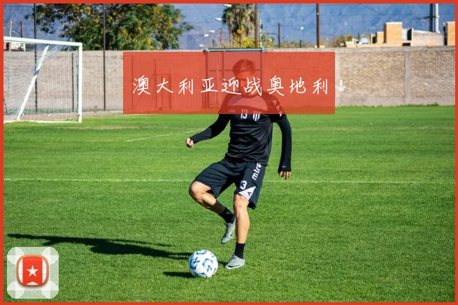 澳大利亚迎战奥地利