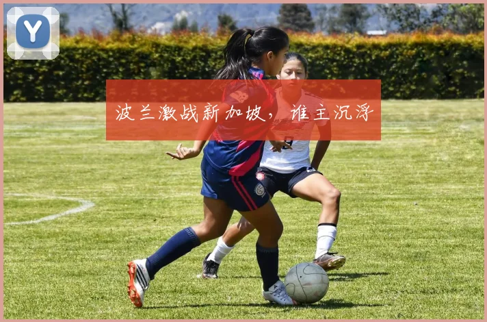 波兰激战新加坡，谁主沉浮