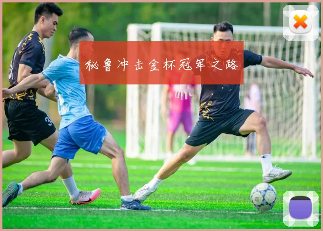 秘鲁冲击金杯冠军之路