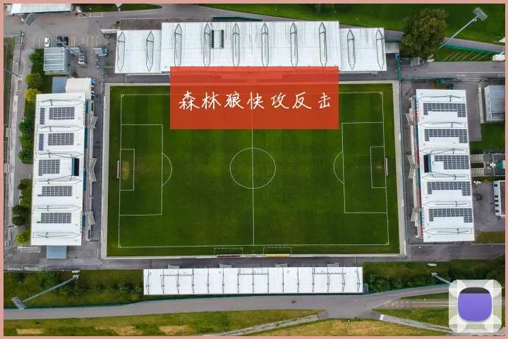 森林狼快攻反击