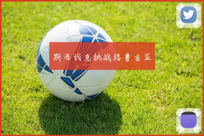 斯洛伐克挑战格鲁吉亚