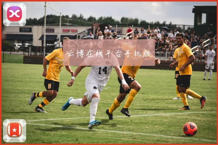 云博在线平台手机版