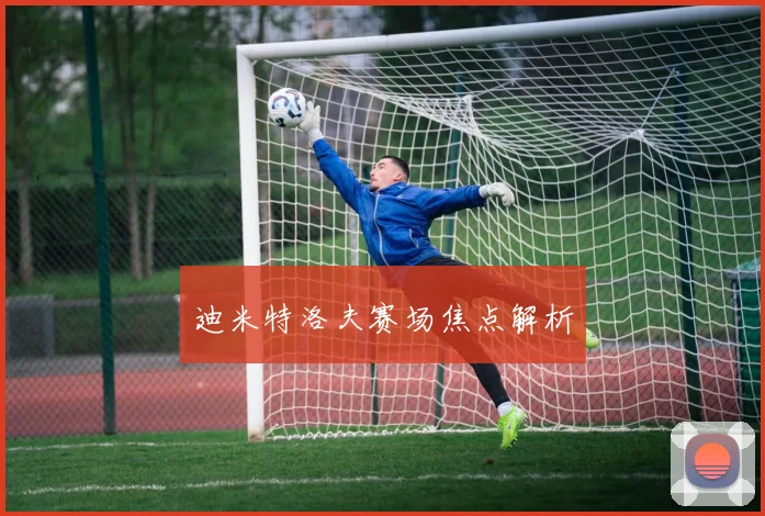 迪米特洛夫赛场焦点解析