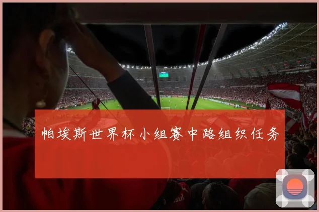 帕埃斯世界杯小组赛中路组织任务