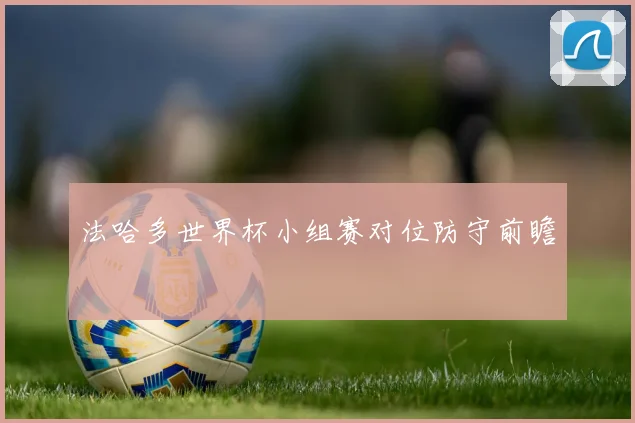 法哈多世界杯小组赛对位防守前瞻