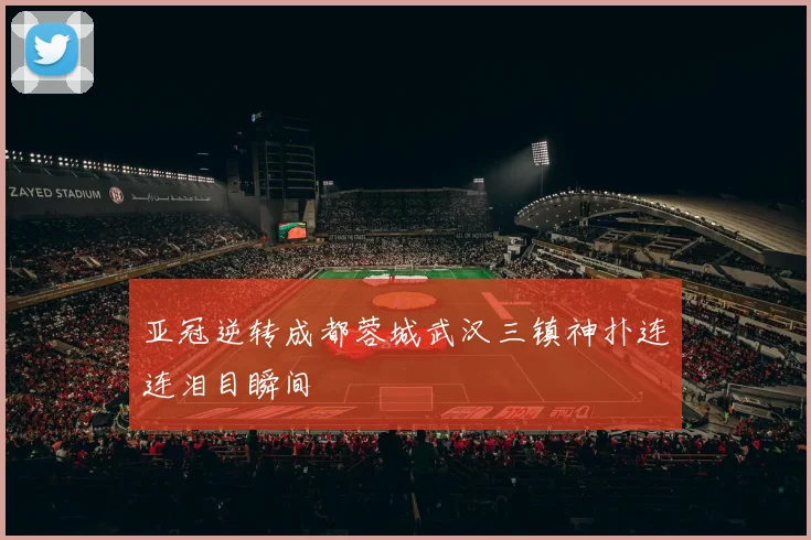 亚冠逆转成都蓉城武汉三镇神扑连连泪目瞬间