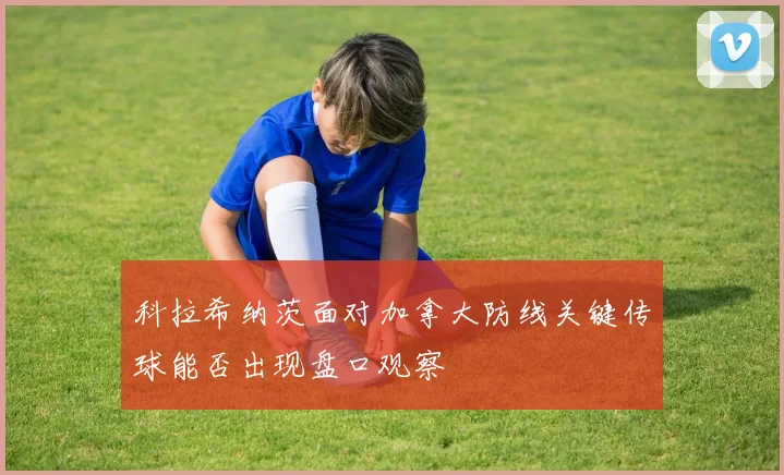 科拉希纳茨面对加拿大防线关键传球能否出现盘口观察