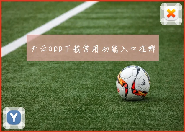 开云app下载常用功能入口在哪
