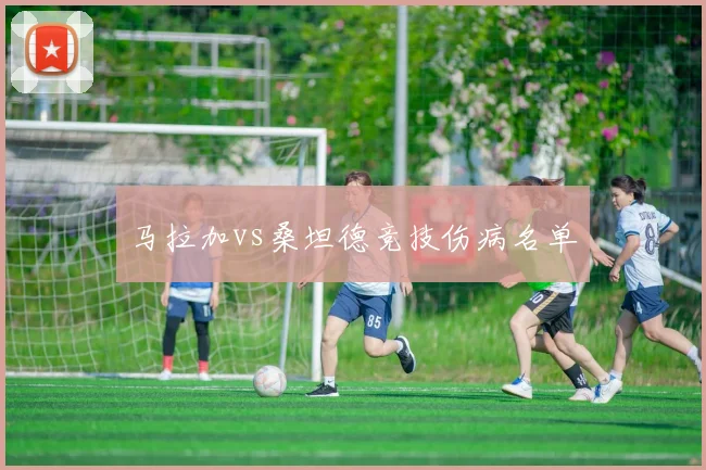 马拉加vs桑坦德竞技伤病名单